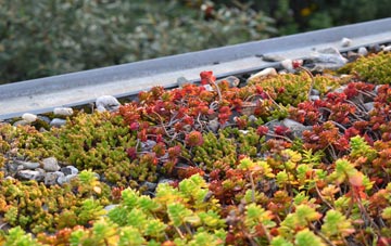 the cost of Steeple Langford green roof installation