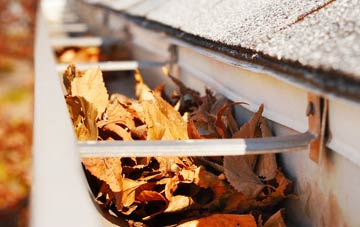 Steeple Langford gutter cleaning companies