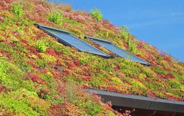 Steeple Langford living roof systems