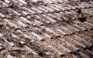 Steeple Langford roof cleaning companies